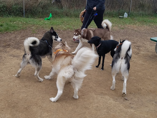 Nature Preserve «Schweitzer Woods Forest Preserve», reviews and photos, 16N690 Sleepy Hollow Rd, West Dundee, IL 60118, USA