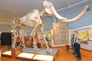 University of Nebraska State Museum's Trailside Museum of Natural History image