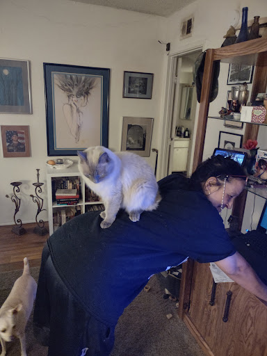 Grocery Store «Safeway», reviews and photos, 1767 E Prince Rd, Tucson, AZ 85719, USA