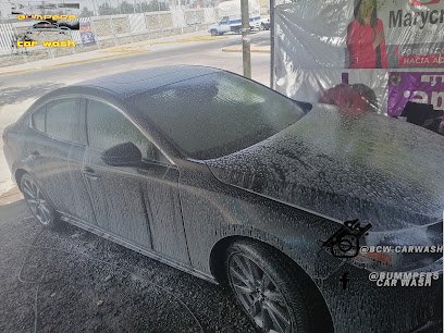 Bumpers car wash