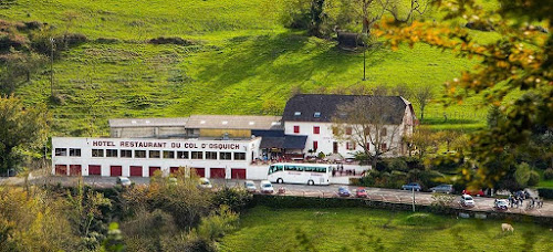 hôtels Hôtel Restaurant Du Col D'Osquich Musculdy