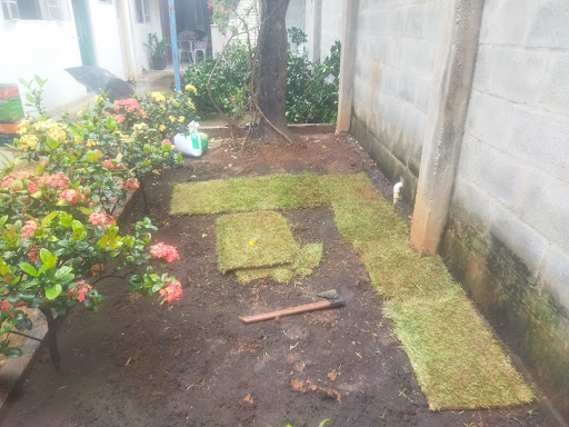 Logo da empresa - WS serviços e jardinagem.