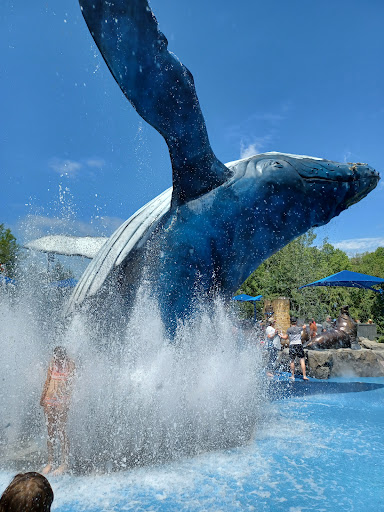 Water Park «Alaskan Adventure», reviews and photos, 3701 S 10th St, Omaha, NE 68107, USA