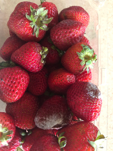 Supermarket «ALDI», reviews and photos, 20904 Frederick Rd, Germantown, MD 20876, USA