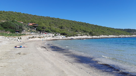 Zaglav beach