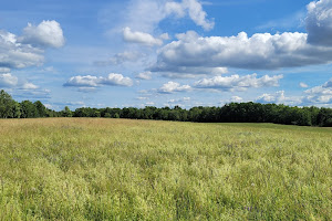 West Penjajawoc Grasslands