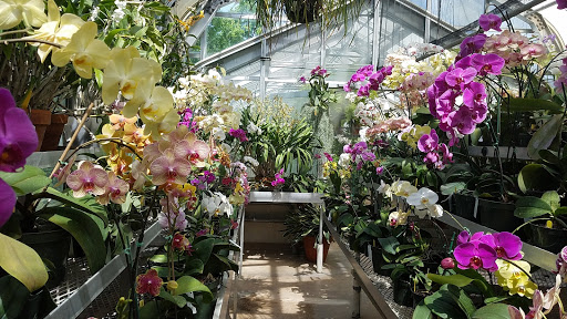 Heritage Museum «Hillwood Estate, Museum & Gardens», reviews and photos, 4155 Linnean Ave NW, Washington, DC 20008, USA