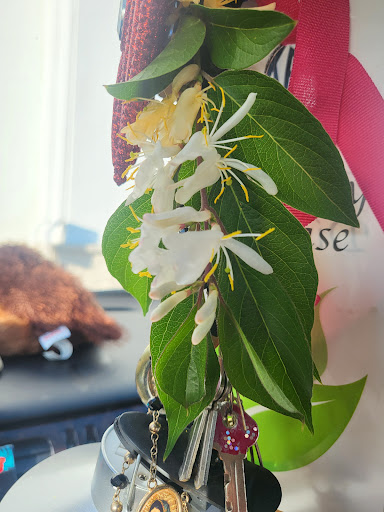 Tourist Attraction «Heflin Park», reviews and photos, 4323 W 700 N, Edinburgh, IN 46124, USA