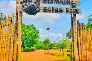 Ridiyagama Safari Park image