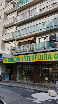 Burdin Fleurs à Annemasse