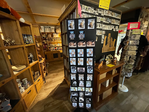 Wildlife Park «Colorado Wolf and Wildlife Center», reviews and photos, 4729 Twin Rocks Rd, Divide, CO 80814, USA