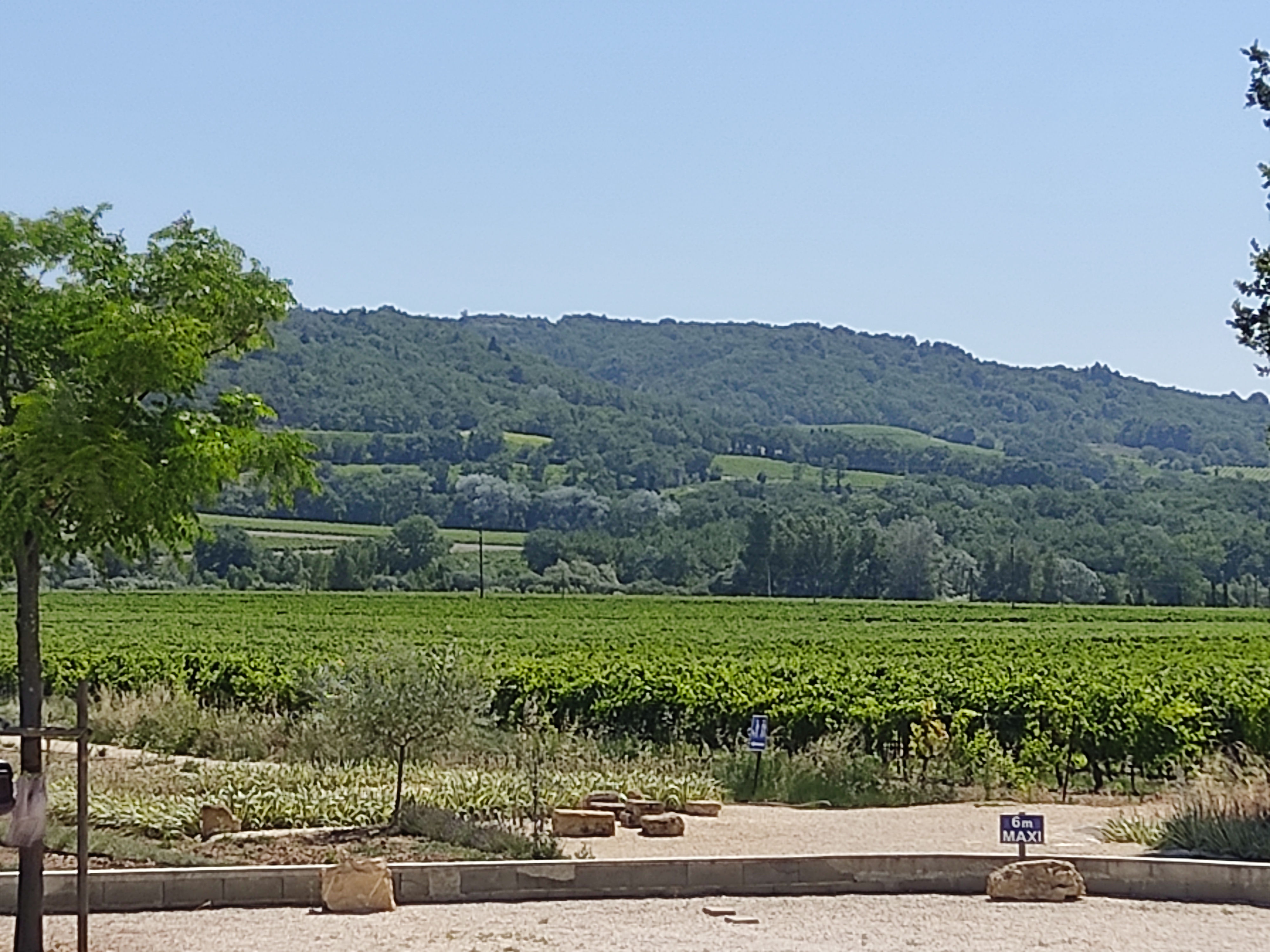 Photo n° 1 de l'avis de Dietmar.o fait le 19/07/2021 à 09:42