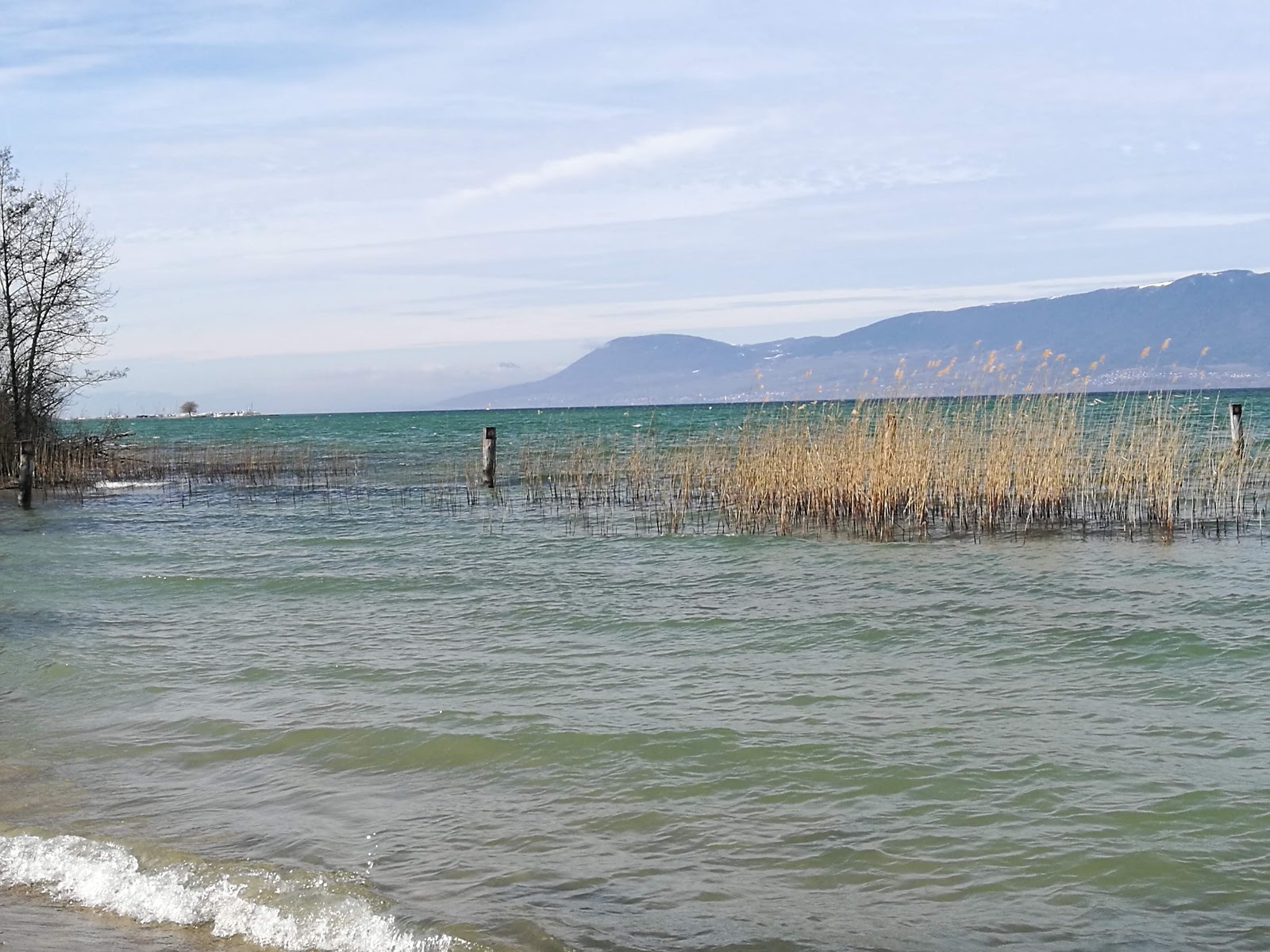 Photo de Plage communale publique de Chabrey zone sauvage