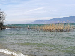 Photo de Plage communale publique de Chabrey zone sauvage