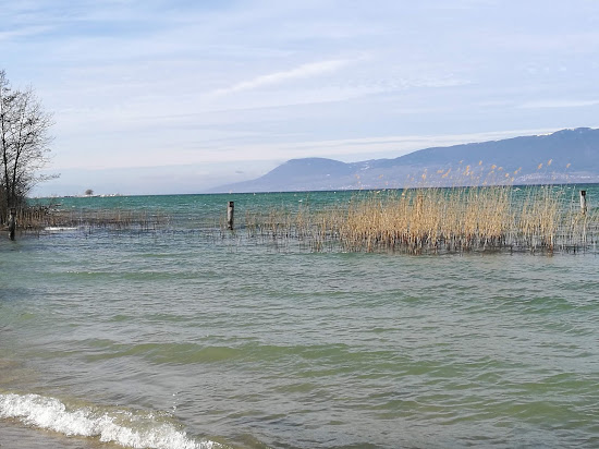 Plage communale publique de Chabrey