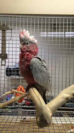 Pet Store «Pets World», reviews and photos, 147 Bridge St, Weymouth, MA 02191, USA