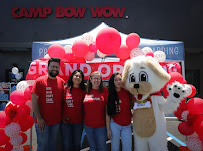Camp Bow Wow - Photo 4 - Car repair in San Ramon, CA, Concord