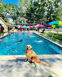 Enchanted Ranch Boarding & Training - Photo 2 - Car repair in Spring, TX, The Woodlands