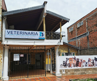 Veterinaria Guatapé Nacho Pets