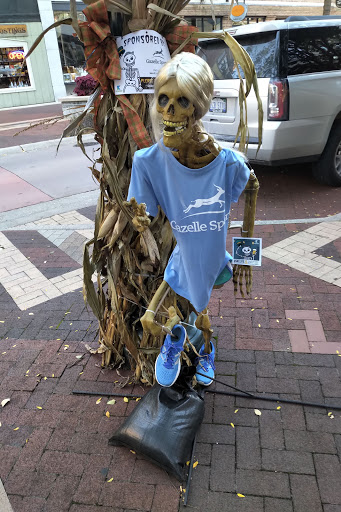 Sporting Goods Store «Gazelle Sports Kalamazoo», reviews and photos, 214 S Kalamazoo Mall, Kalamazoo, MI 49007, USA