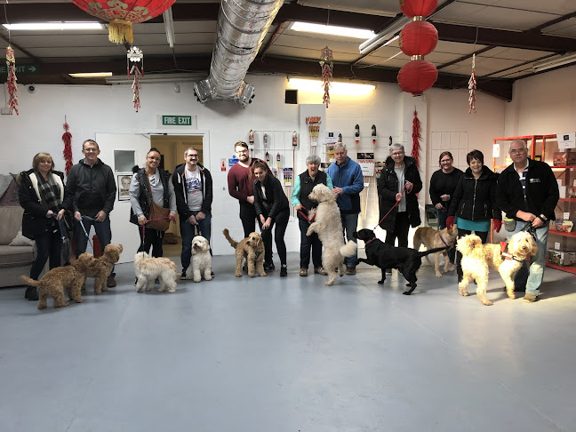 Reviews of Bark to Basics Dog Training and Behaviour in Bridgend - Dog trainer