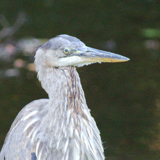 Park «Bronx River Park», reviews and photos, 2 Bronx River Pkwy, Scarsdale, NY 10583, USA