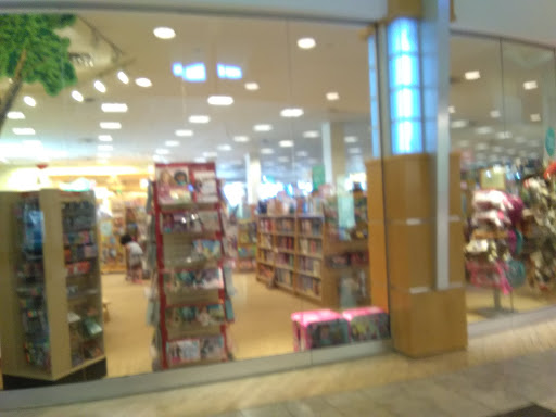 Book Store «Barnes & Noble», reviews and photos, 5132 W Saginaw Hwy, Lansing, MI 48917, USA