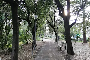 Parco Giardino di Macchia image