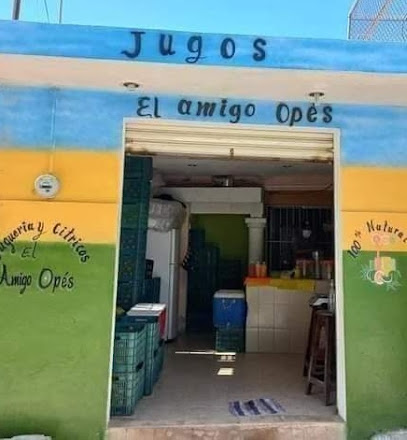 El Amigo Opés - C. 10 102, Jobonchén, 97367 Celestún, Yuc., Mexico