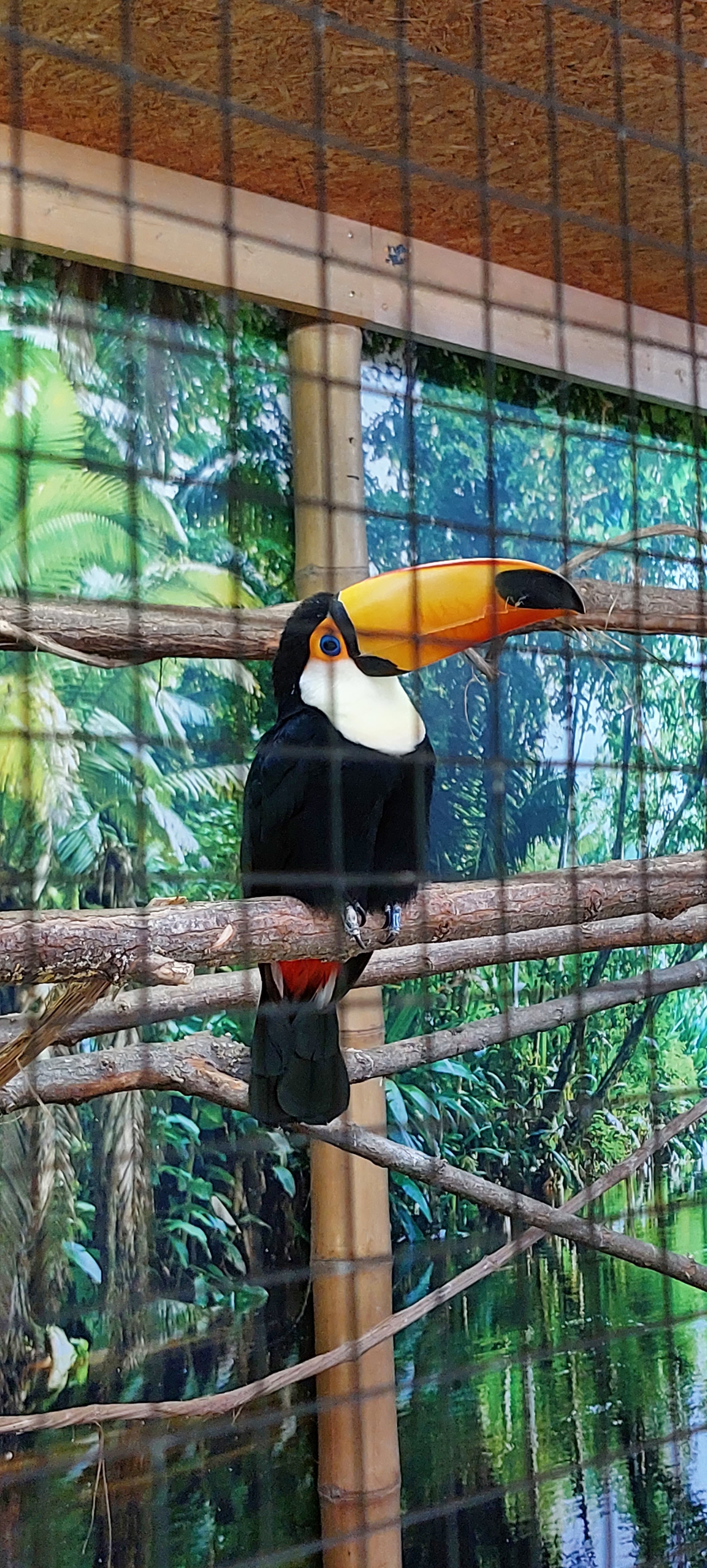 Photo n° 2 de l'avis de nathalie.E fait le 08/10/2023 à 08:49