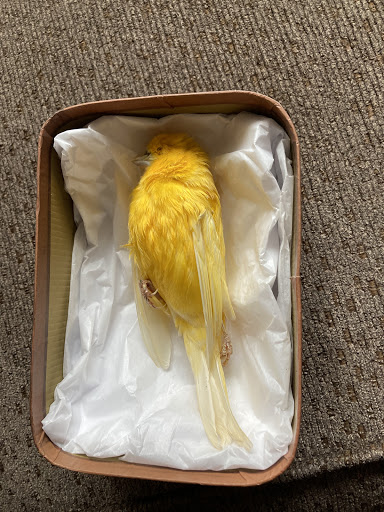 Amusement Center «Fantasyland LLC.», reviews and photos, 1300 Fall River Ave, Seekonk, MA 02771, USA