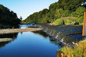 Mill Stream image