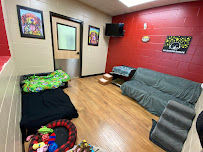 TailWaggers Doggy Daycare - Photo 6 - Car repair in De Pere, WI, Green Bay