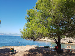 Platja Calo de ses Lleonardes'in fotoğrafı ve yerleşim