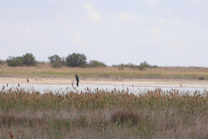 Absheron National Park image