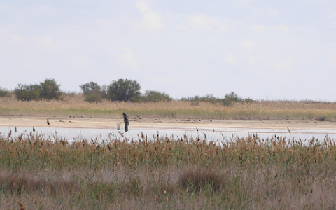 Absheron National Park image