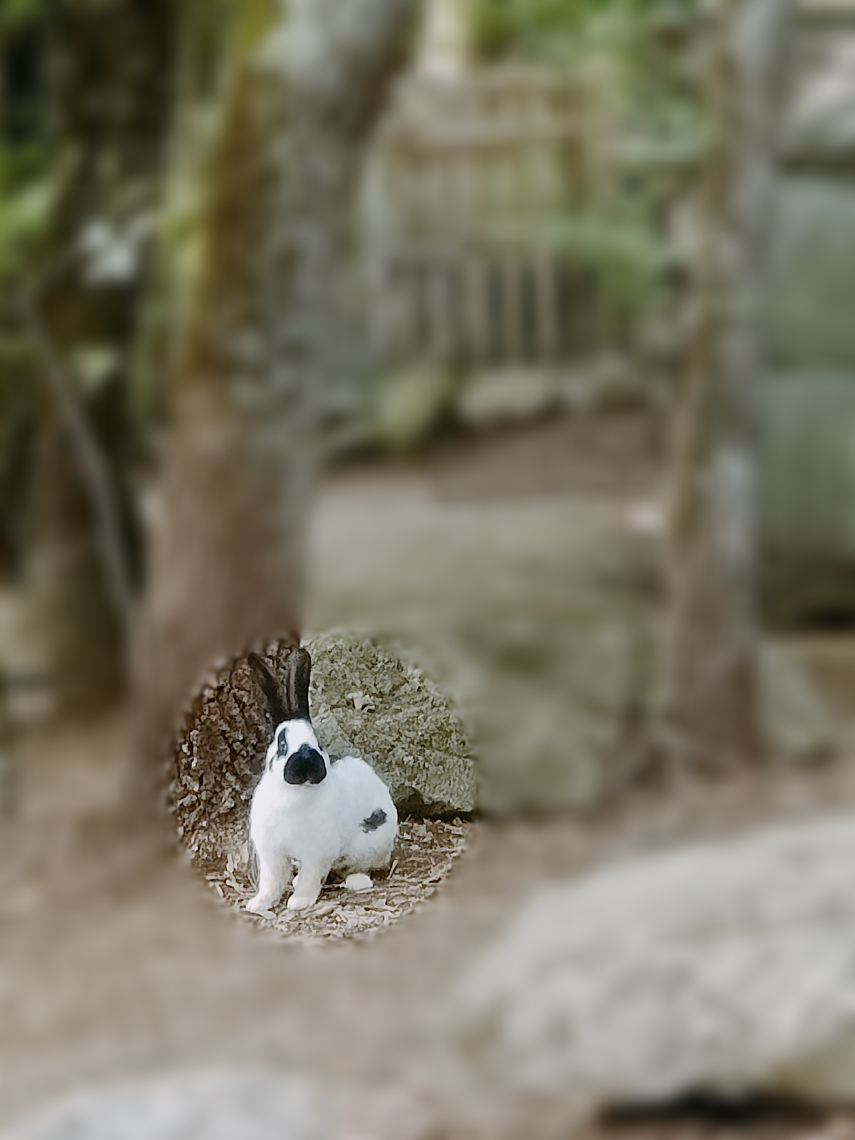 Photo n° 6 de l'avis de michel.e fait le 16/08/2022 à 17:14