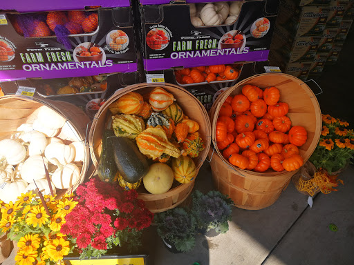 Grocery Store «Safeway», reviews and photos, 1524 W Main St, Molalla, OR 97038, USA