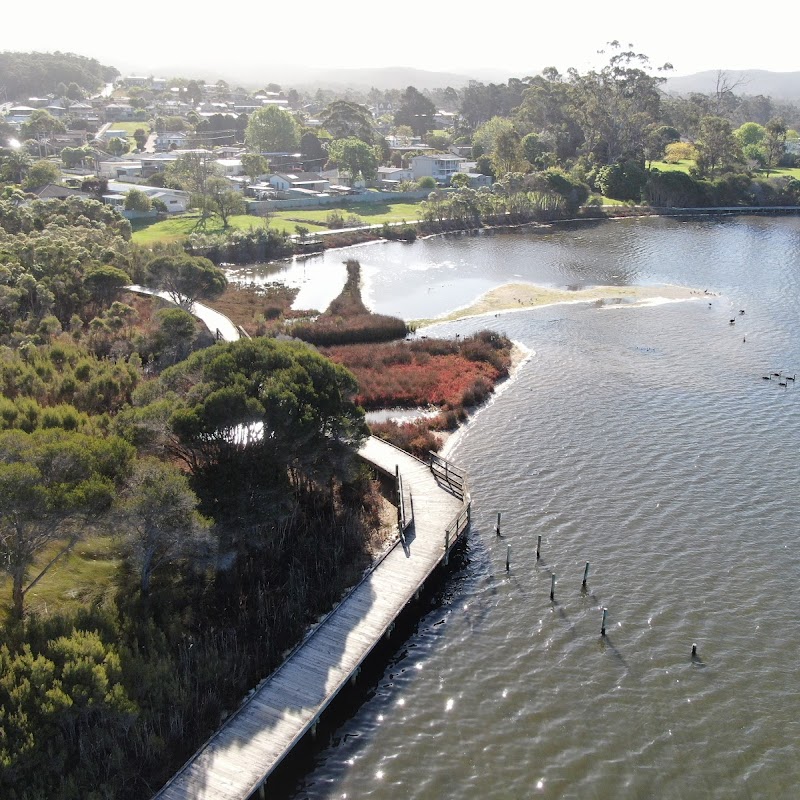 Allan Gibson boardwalk