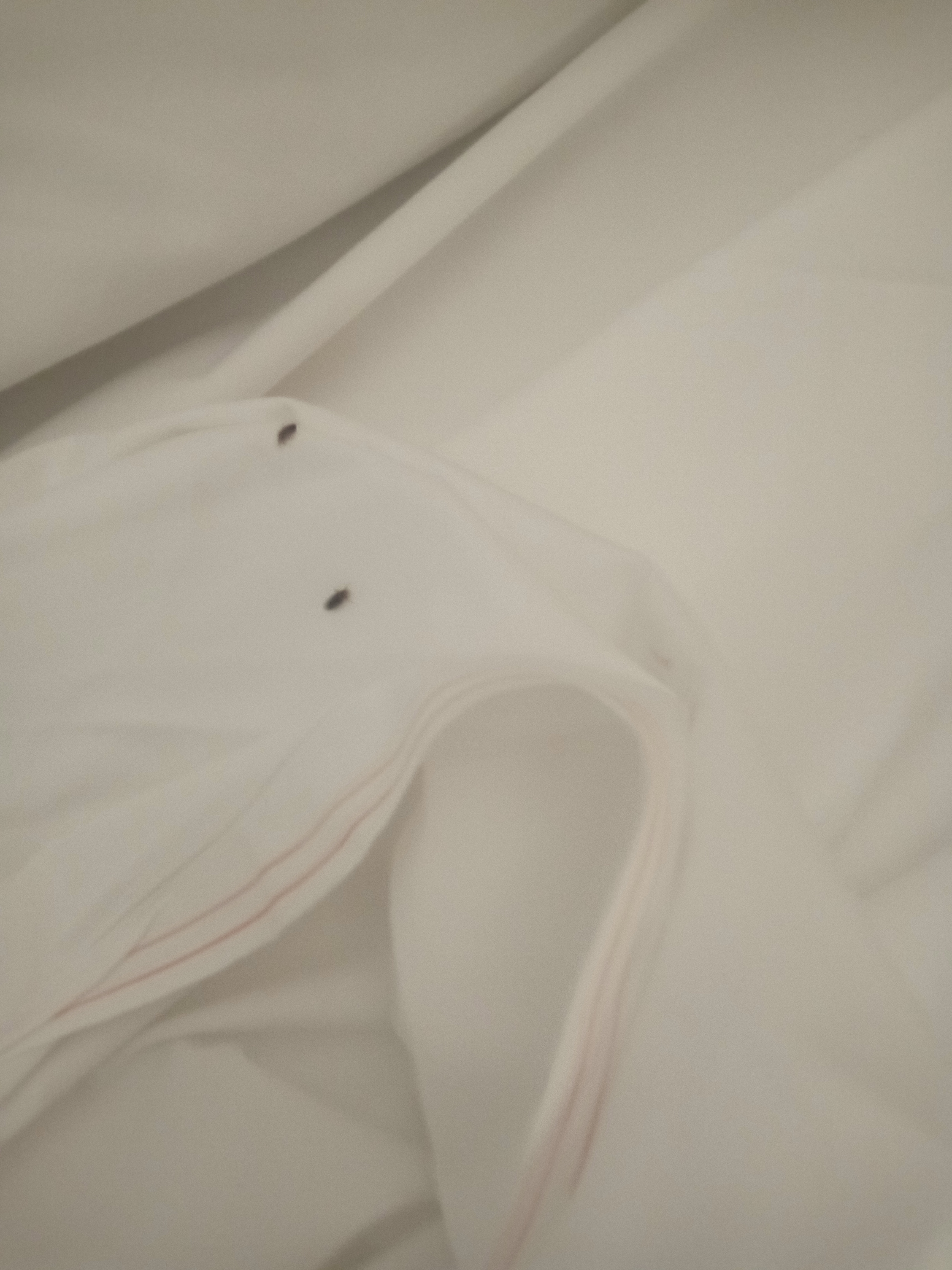Photo n° 4 de l'avis de Sidhant.A fait le 15/06/2022 à 20:46