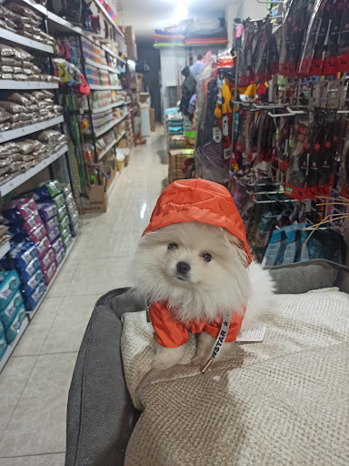 Davutlar petshop ocean | Kuşadası Aydın - Evcil Hayvan Malzemeleri Mağazası