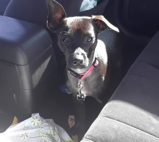 Department Store «Walmart Supercenter», reviews and photos, 470 Airport Rd, Willows, CA 95988, USA