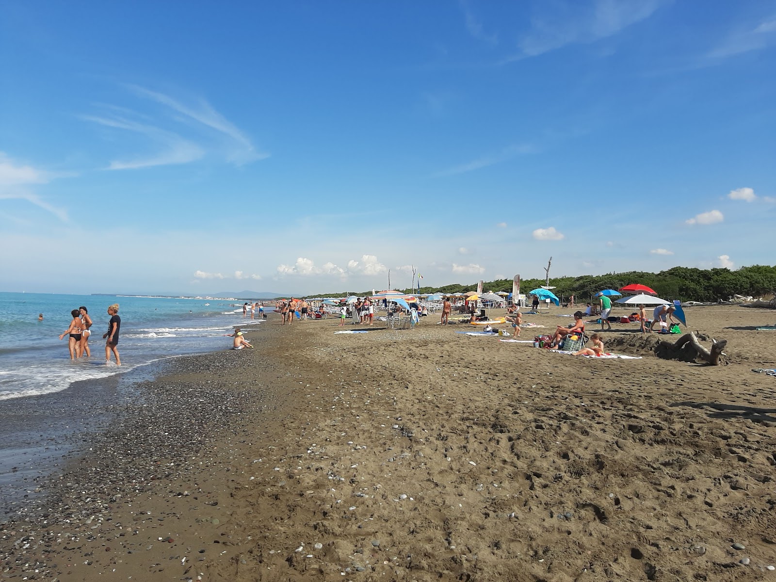 Spiaggia di Marina di Bibbona'in fotoğrafı kahverengi kum yüzey ile