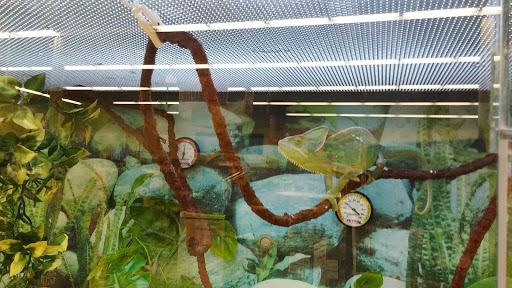 Pet Supply Store «Petco Animal Supplies», reviews and photos, 8404 Eager Rd b, Brentwood, MO 63144, USA