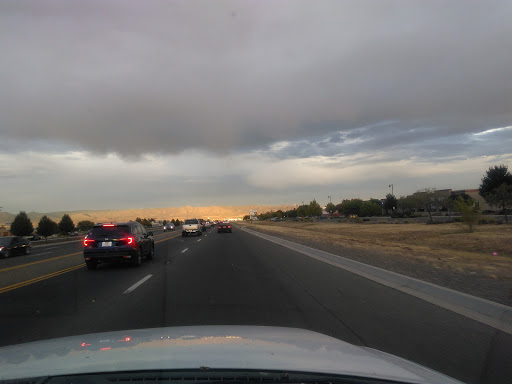 Pets «Pet Headquarters», reviews and photos, 2710 N Glassford Hill Rd, Prescott Valley, AZ 86314, USA