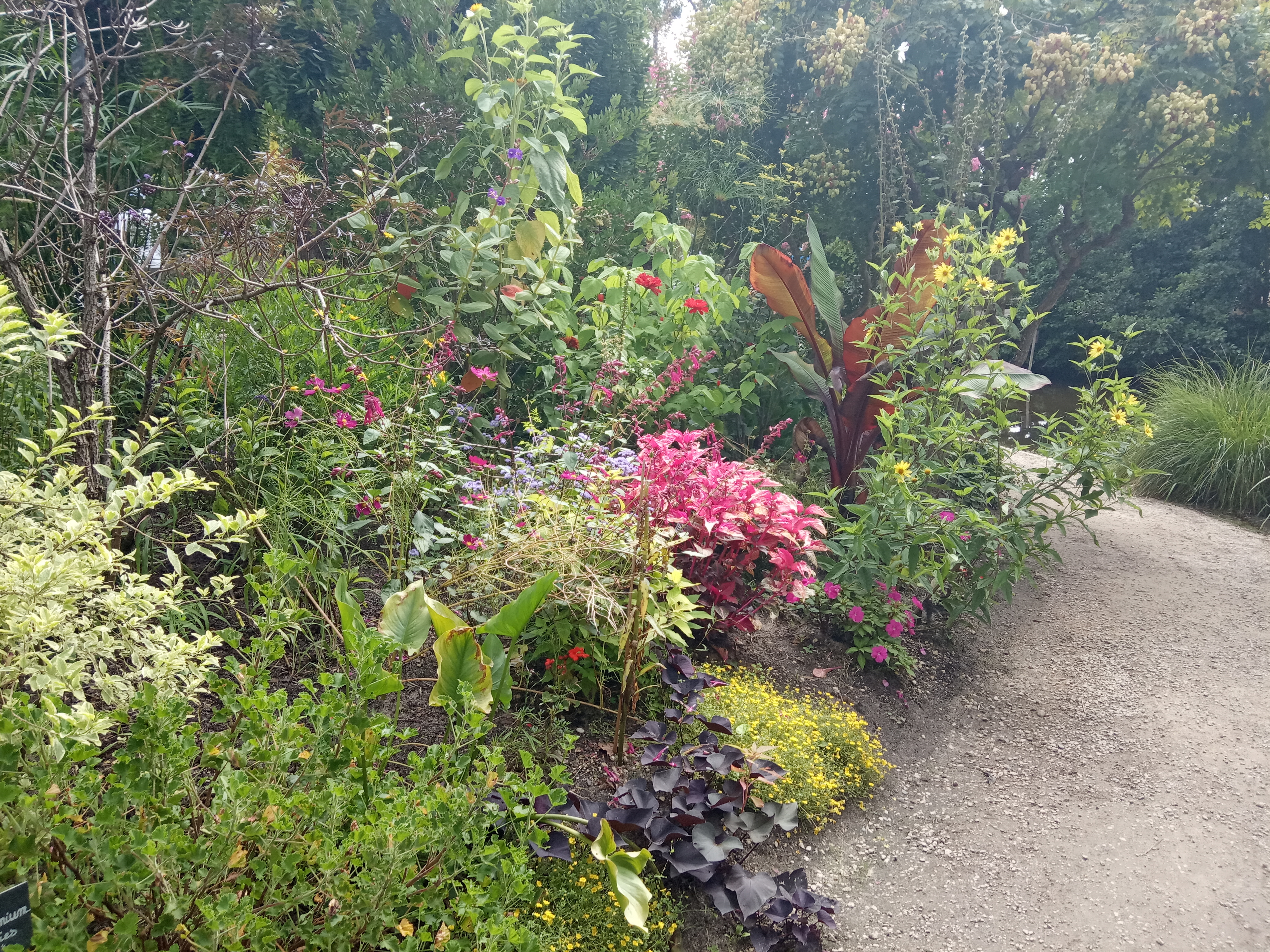 Photo n° 4 de l'avis de Diane.l fait le 19/08/2019 à 14:51