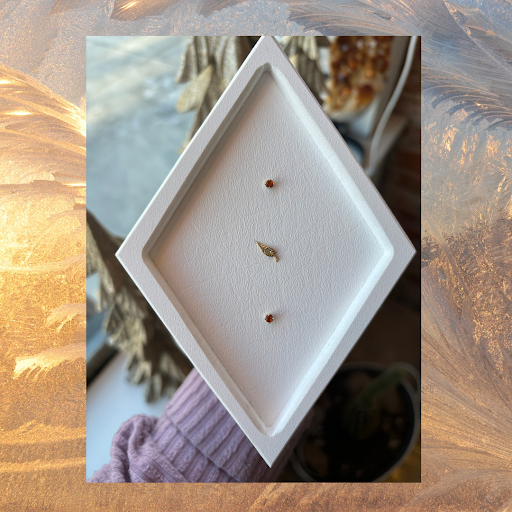 Explore crossword tattoo ideas, creative tattoo ideas in Sioux Falls, available at Kind Find Jewelry & Piercing