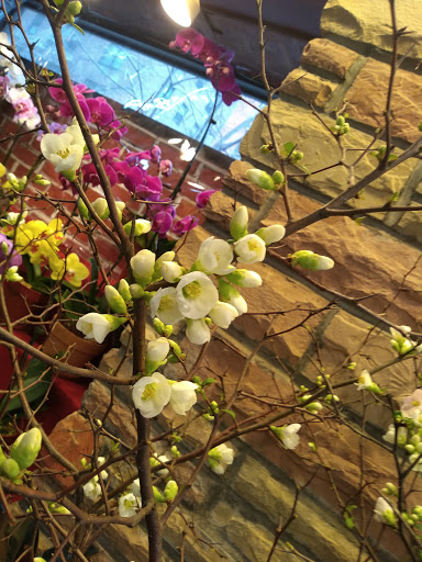 Florist «Sunshine Florist Inc.», reviews and photos, 946 1st Avenue, New York, NY 10022, USA