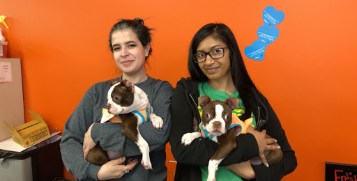 Pet Supply Store «Petco Animal Supplies», reviews and photos, 61-23 190th St, Fresh Meadows, NY 11365, USA