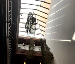 Museo UNAM HOY photo